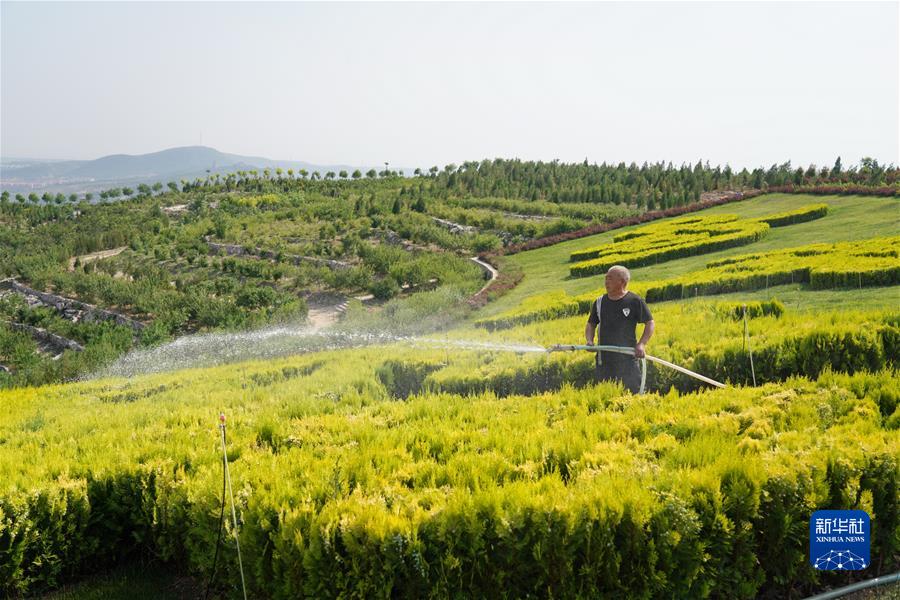 （新華全媒頭條·聚焦生物多樣性大會(huì)·圖文互動(dòng)）（3）攜手同行，開啟人類高質(zhì)量發(fā)展新征程——習(xí)近平主席在《生物多樣性公約》第十五次締約方大會(huì)領(lǐng)導(dǎo)人峰會(huì)上的主旨講話解讀